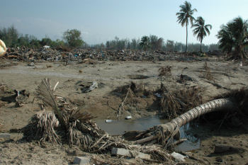 Tsunami de Thaïlande 26 décembre 2004